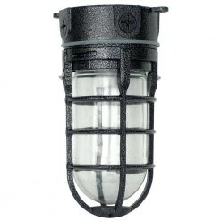 Industrial 1-Light Hammered Black Outdoor Weather Tight Flushmount Light Fixture by Southwire