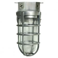 Industrial 1-Light Brushed Steel Outdoor Weather Tight Flushmount Light Fixture by Southwire