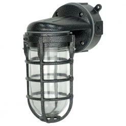 Industrial 1-Light Hammered Black Outdoor Weather Tight Flushmount Wall Light Fixture by Southwire