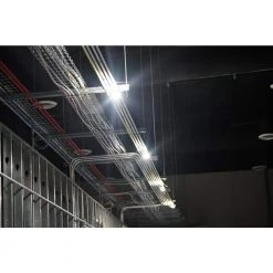 50 ft. 14/3 SJTW 5-Light Plastic LED String Light by Southwire -Serena D'italia shop southwire construction light strings 7164sw 44 1000